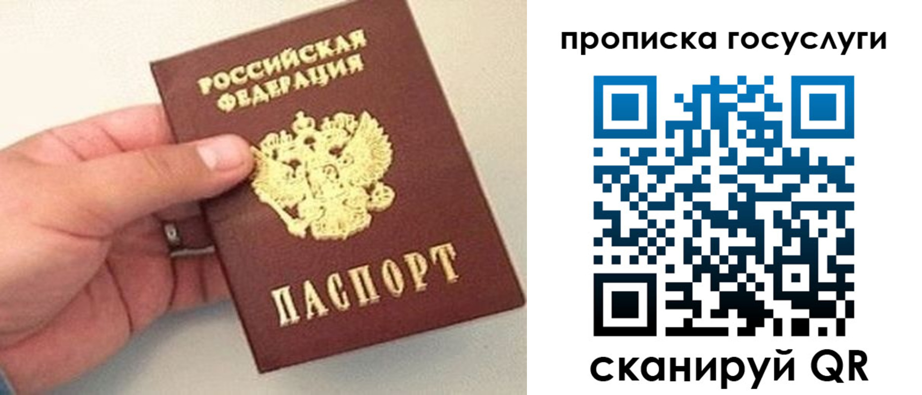 где прописаться в Дедовске